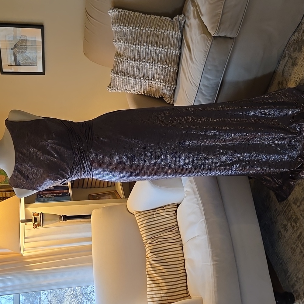 NWT Ralph Lauren Gray Metallic Dress Size 4